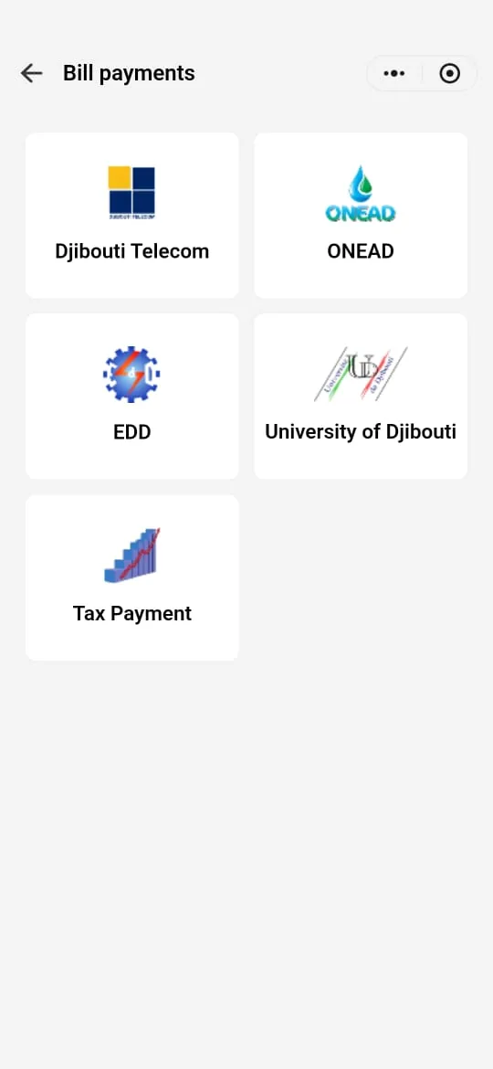 Écran « Bill payments » de l’application D-Money : Djibouti Telecom, ONEAD, EDD, University of Djibouti et Tax Payment.