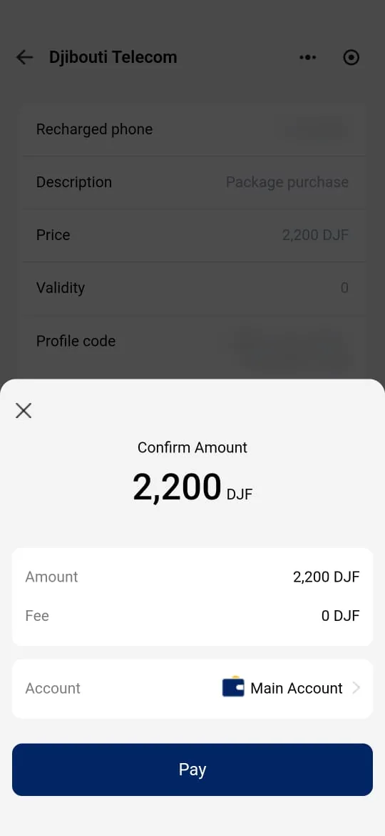 “Confirm Amount” window: amount, fee, debited account and “Pay” button.