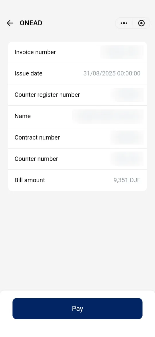 Bill details: number, date, holder, contract, meter and amount (personal information hidden).